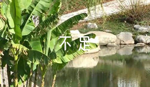 篮球教练如何制定总决赛的长期发展计划_1
